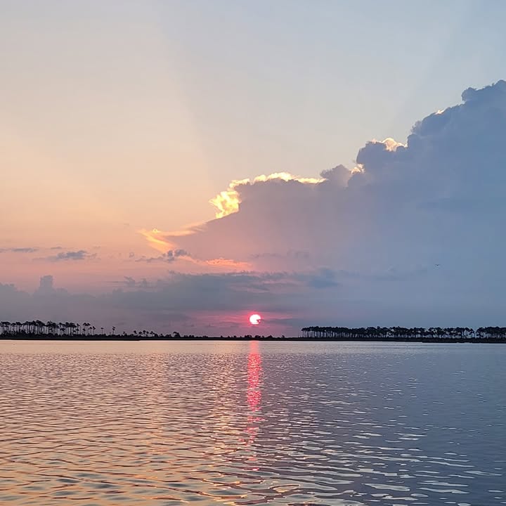 Sea Scout Ship 94 - The Ark Royal